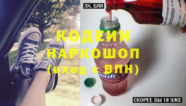 ECSTASY Кукмор