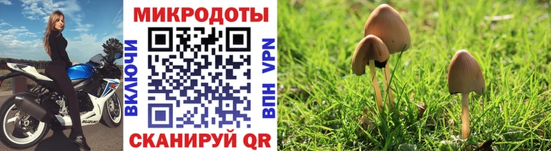 Псилоцибиновые грибы MAGIC MUSHROOMS  дарнет шоп  Пласт 